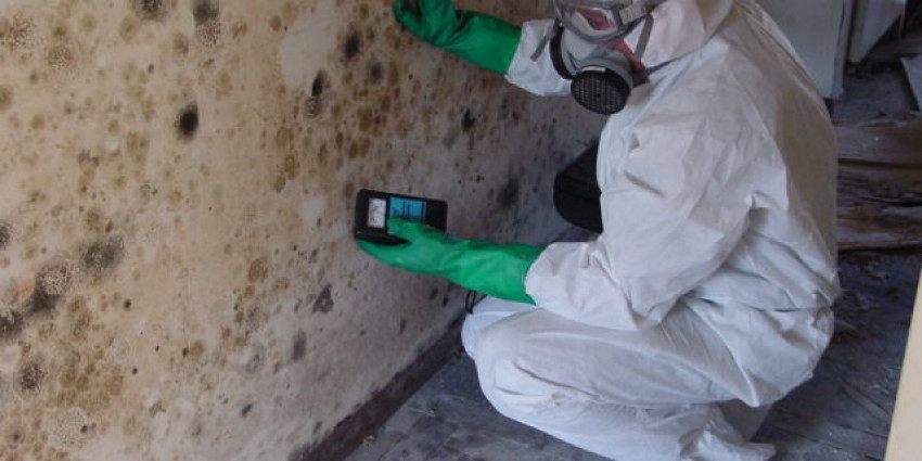 Importance of professional Mold Inspection and Testing services for San Francisco Bay Area Homebuyer