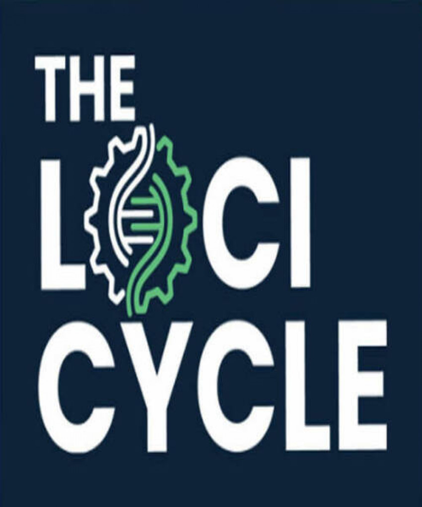 The Loci Cycle Review: Guaranteed Business Growth Model