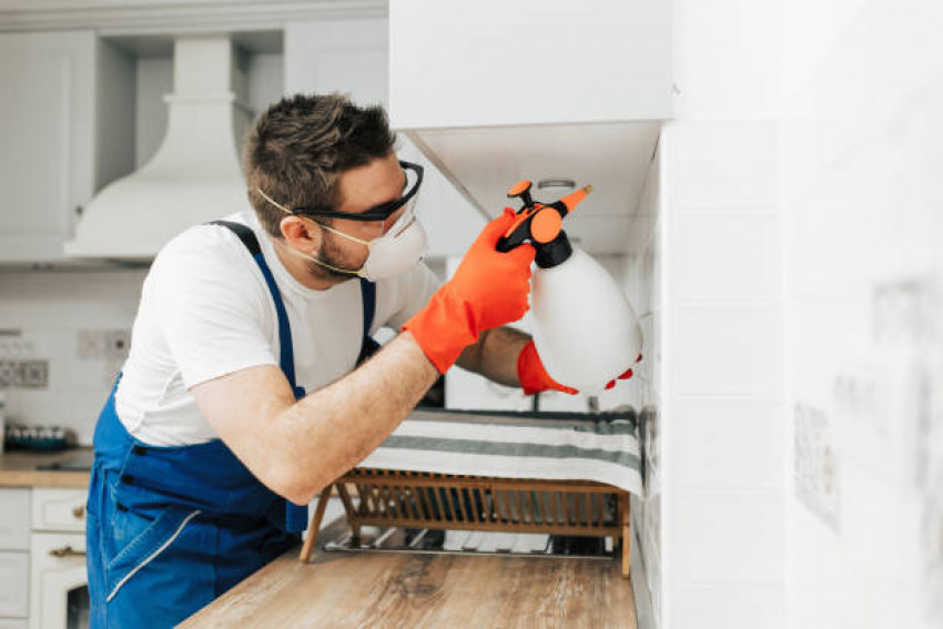 The Most Common Misconceptions About Pest Control