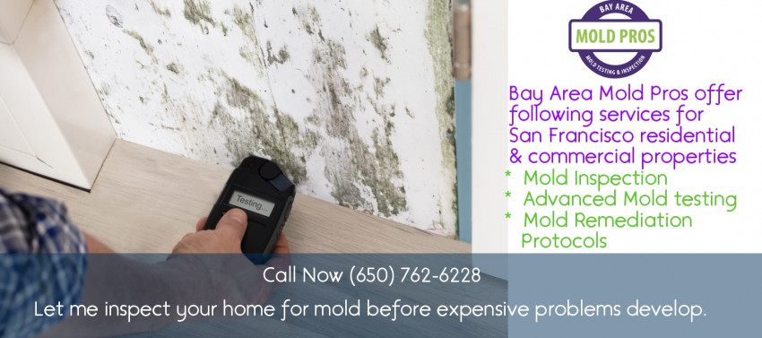 Preventing Mold growth in commercial and industrial buildings