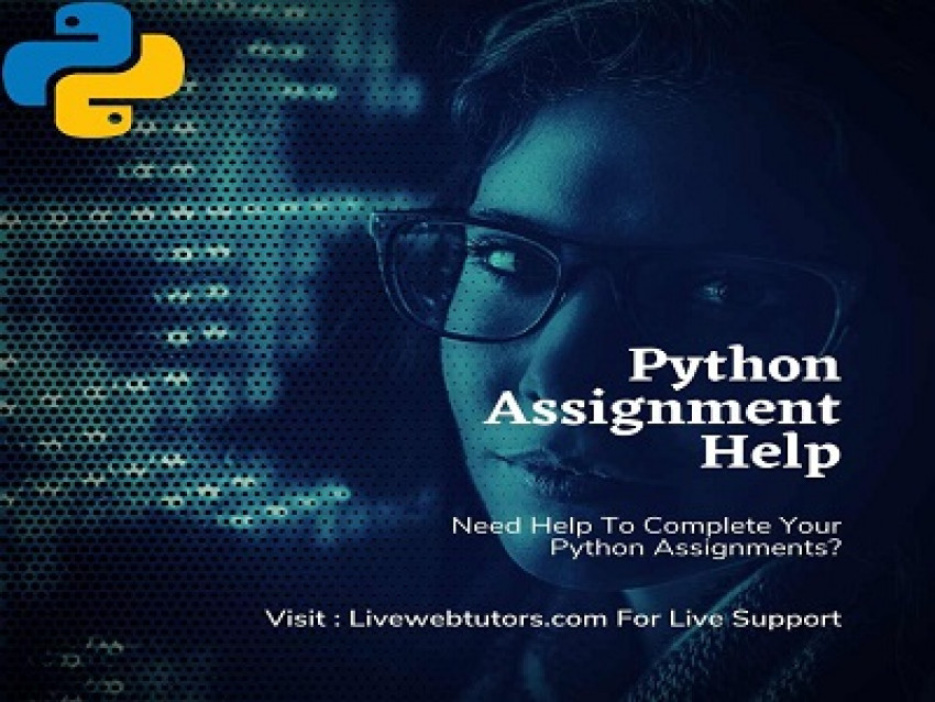 Python Assignment Help: The Wait is Finally Over