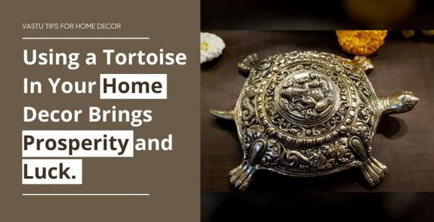 Involving a Tortoise In Your Home Decor Brings Prosperity and Luck.