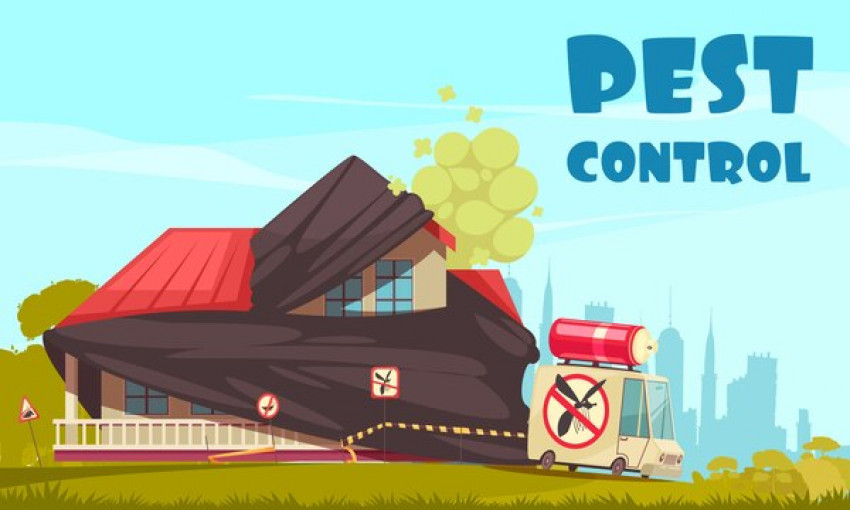 Should Pest Control London Services Be One of The Preventive Measures of Your Business?