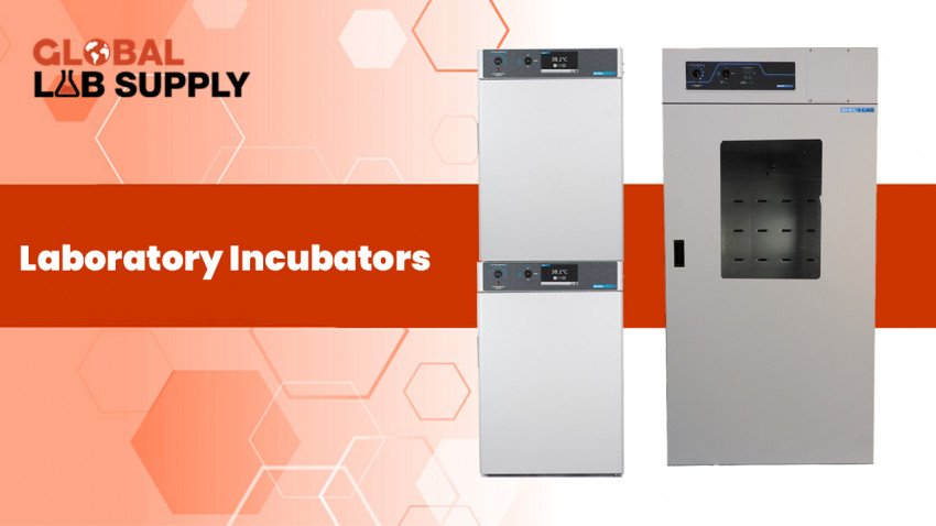 Buying when there are Laboratory Incubators For Sale