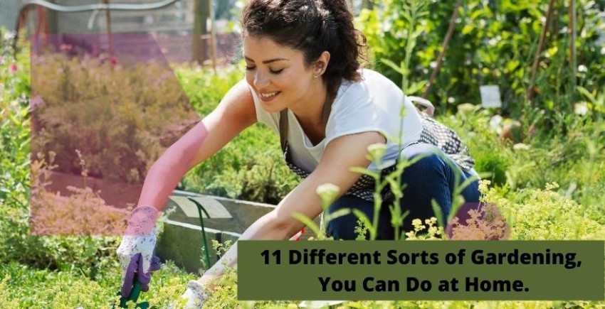 11 different sorts of gardening, you can do at home.
