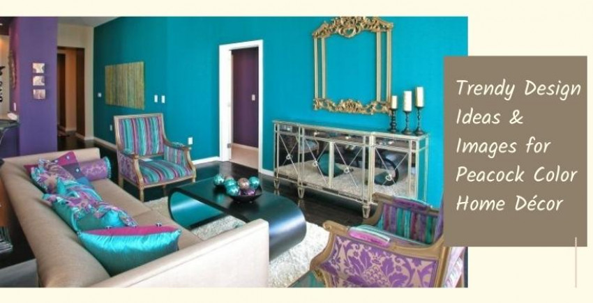 Polished Design Ideas and Images for Peacock Color Home Décor