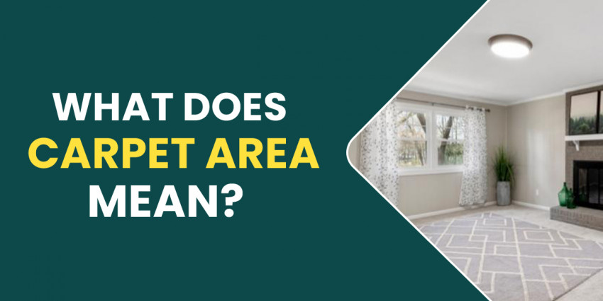 What Does Carpet Area Mean? What Are the Differences Between