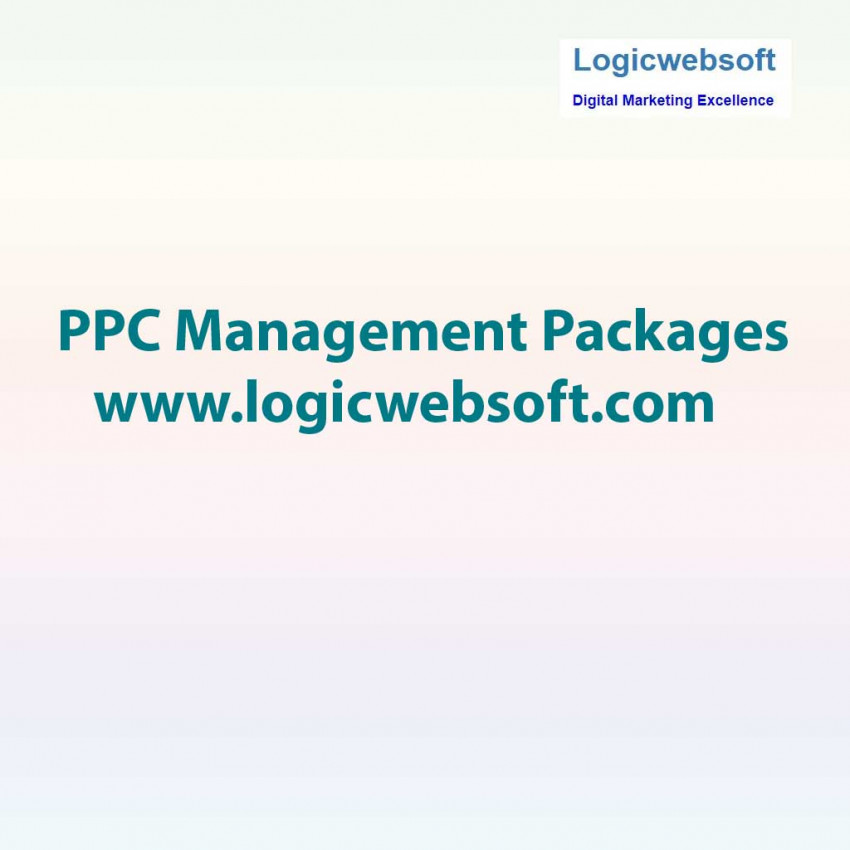 PPC Management Packages from the Best PPC Management Company