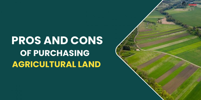 Pros And Cons Of Purchasing Agricultural Land