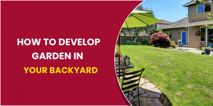 How to Develop Garden in Your Backyard