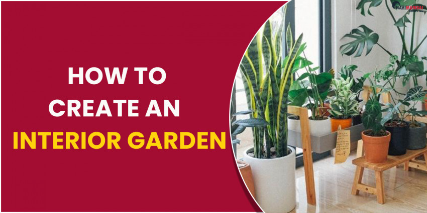 How to Create an Interior Garden