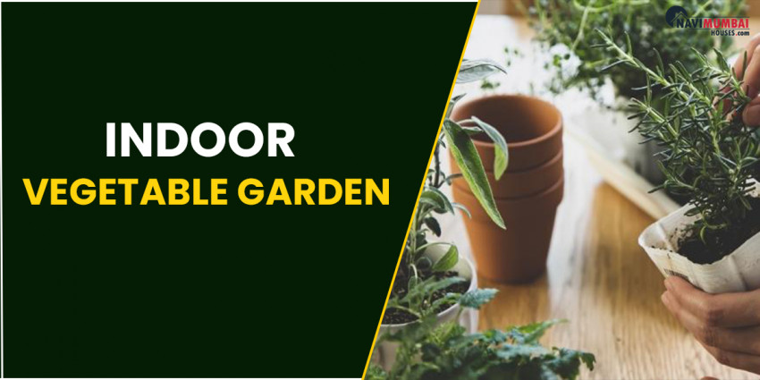 The best strategy to Grow an Indoor Vegetable Garden
