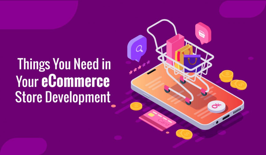 Things You Need in Your eCommerce Store Development