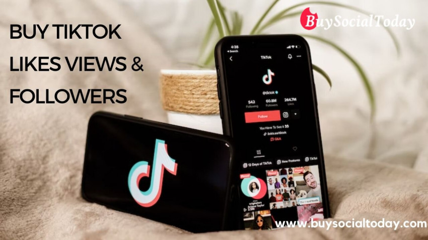5 critical factors to consider before going to buy TikTok follower