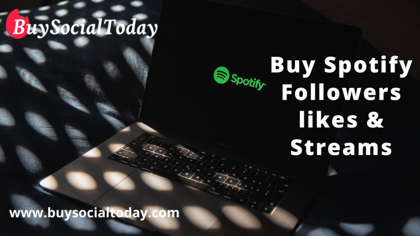 Buy Spotify Followers And Listeners