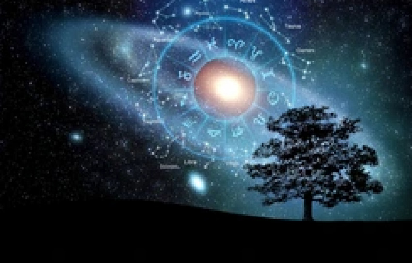 Understanding Astrological Relationships in Human Life