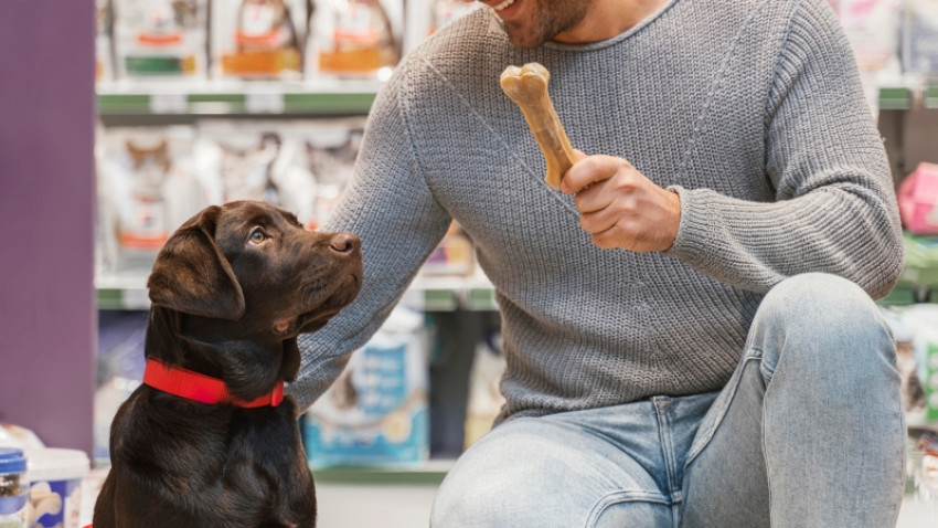 Top Tips for Using a Dog Whistle to Train Your Puppy