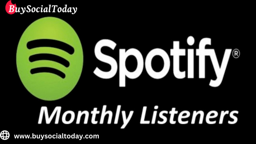 Should you purchase Spotify Monthly Subscribers?
