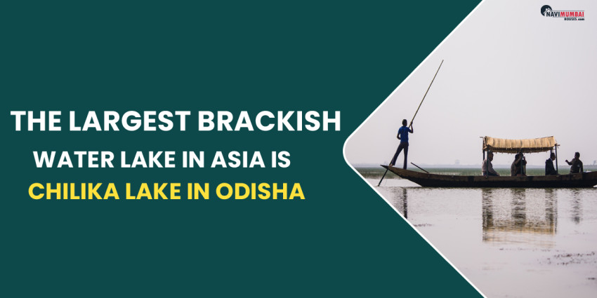 The largest Brackish Water Lake In Asia Is Chilika Lake In Odisha