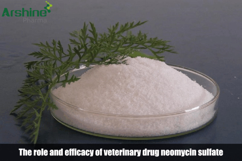 The role and efficacy of veterinary drug neomycin sulfate