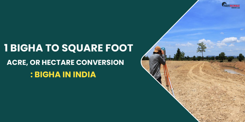 1 Bigha To Square Foot, Acre, Or Hectare Conversion: Bigha In India