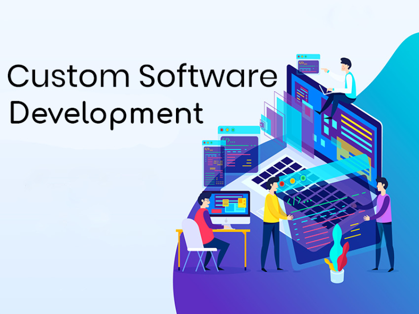 Why does Business require Custom Software Development?
