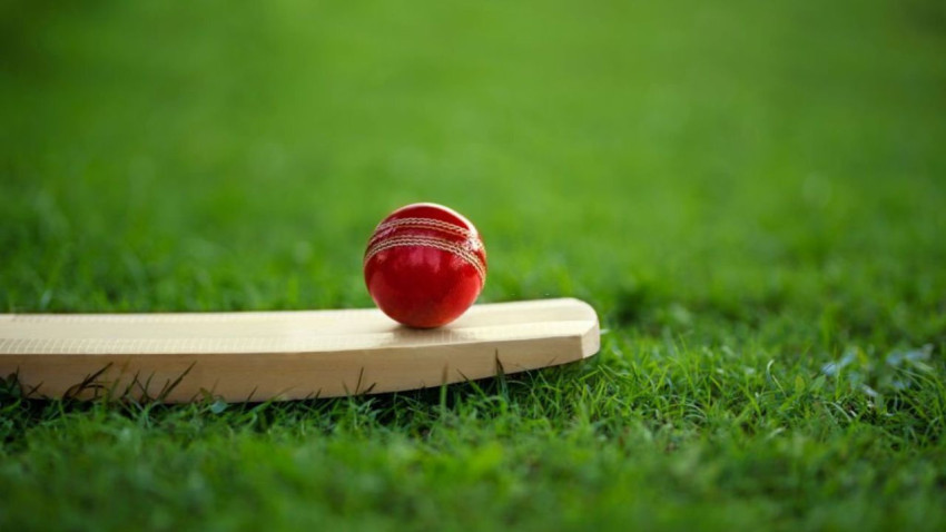 The Ultimate Guide To Creating An Online Cricket ID And Becoming A Pro Player