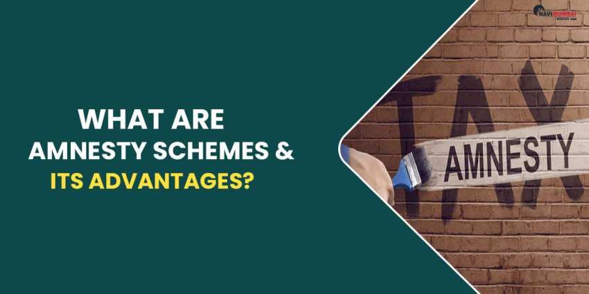 What Are Amnesty Schemes & Its Advantages?