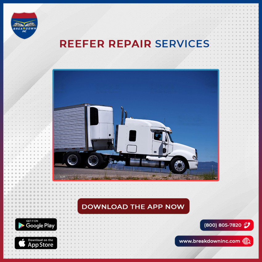 Reefer Repair Service in Arizona