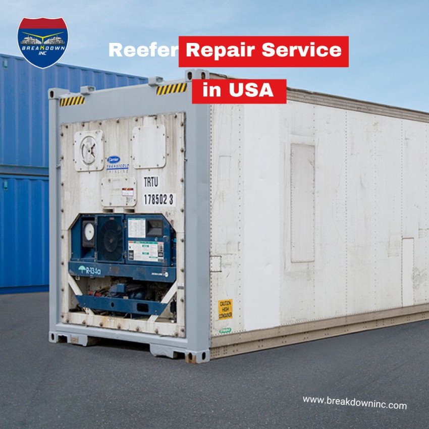 Reefer Repair Service by Thermo King