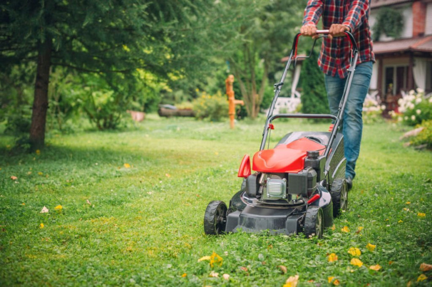 Why Professional Lawn Care Service is Ideal for Homeowners
