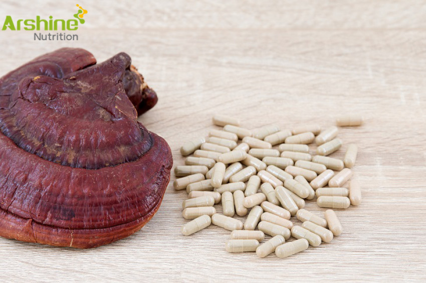 Efficacy and function of Reishi mushroom extract