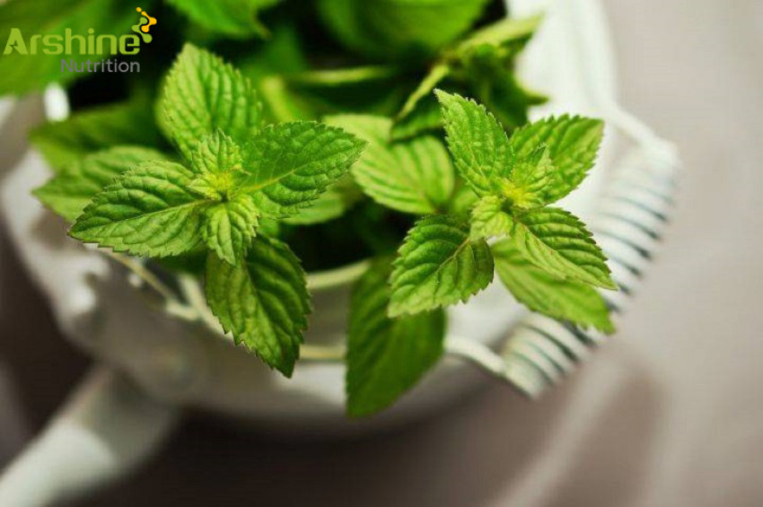 Cosmetic effects of stevia extract