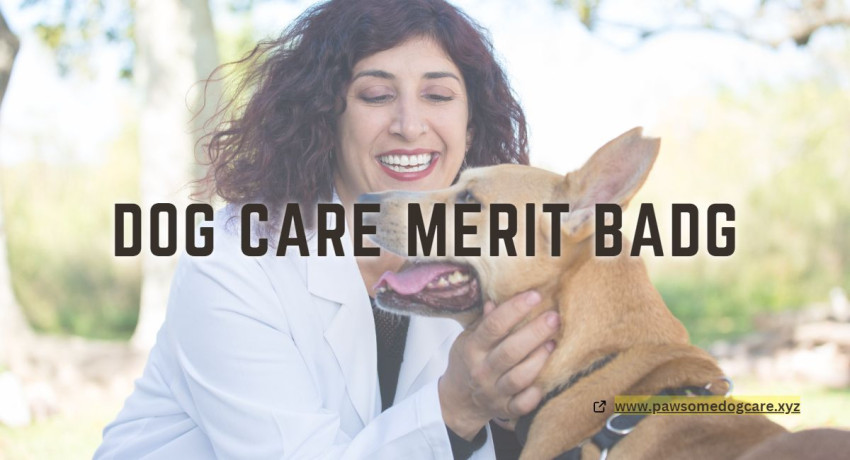 Pet Care Merit Badge: A Guide to Responsible Dog Ownership