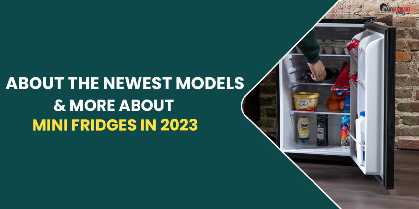 All You Need to Know About the Newest Models & More About Mini Fridges in 2023