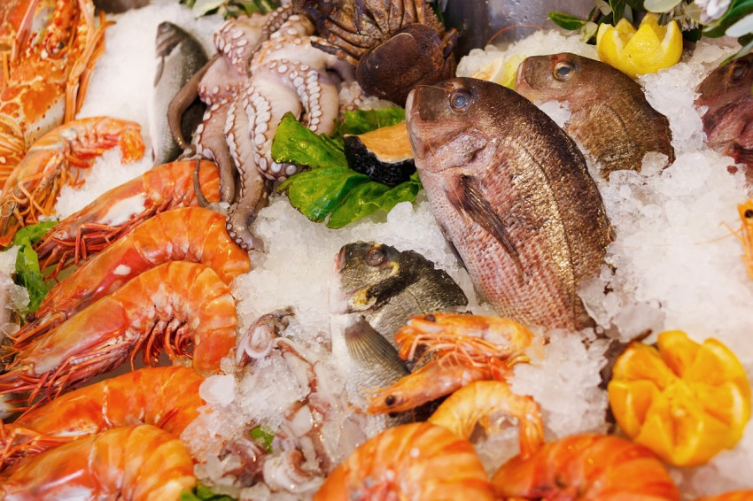 How can traceability improve seafood sustainability and profitability?