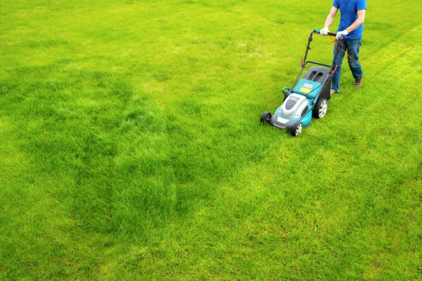 How lawn treatment services can help maintain a healthy lawn?