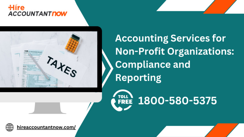 Accounting Services for Non-Profit Organizations: Compliance and Reporting