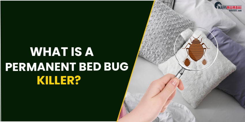 What Is A Permanent Bed Bug Killer?