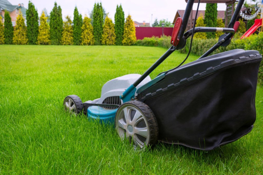 How can you create an eco-friendly lawn care plan?