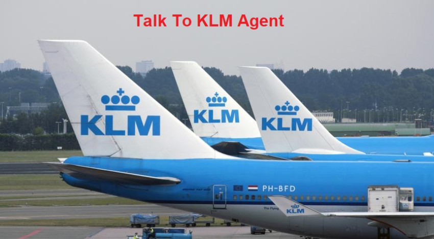How Do I Get in Touch with A KLM Representative?