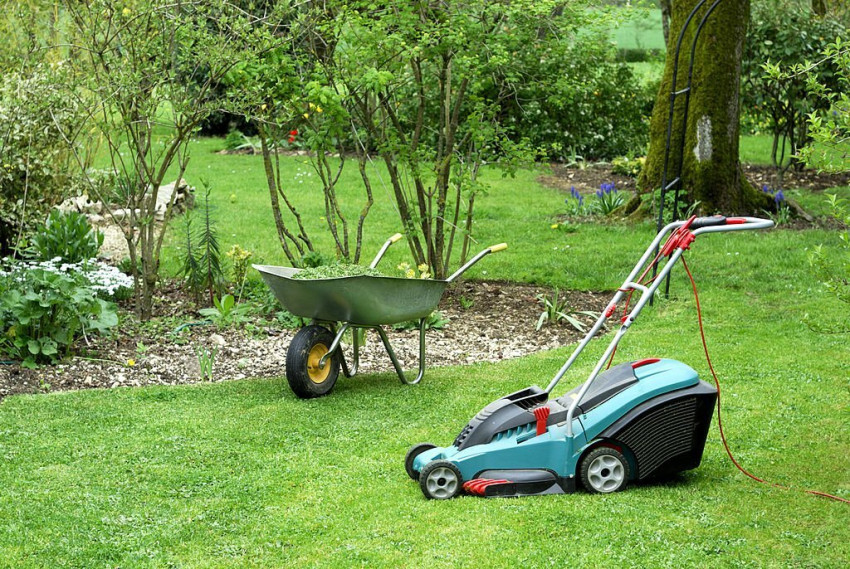Common Lawn Problems that affect your lawns Health