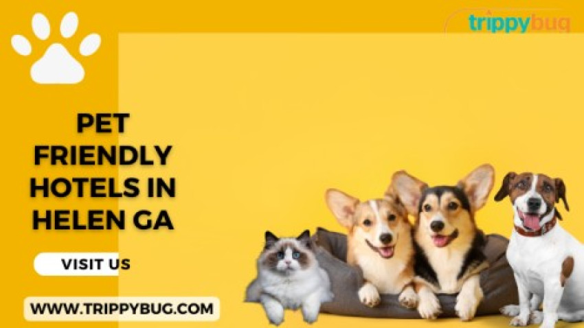 Pet Friendly Hotels in Helen Georgia
