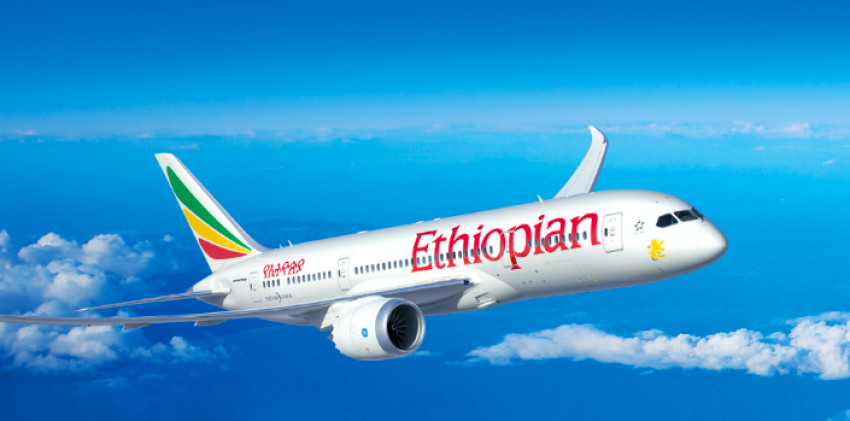 How Do I Choose Meals on Ethiopian Airlines?