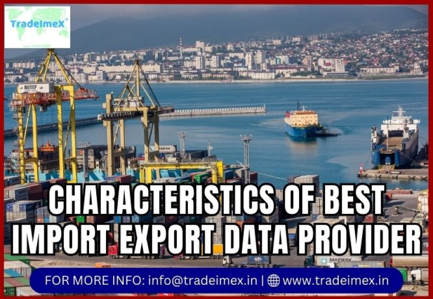 CHARACTERISTICS OF BEST IMPORT EXPORT DATA PROVIDER
