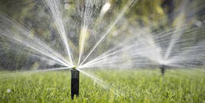 From Patchy To Perfect: Get the Lush and Green Lawn of Your Dreams