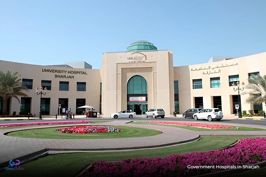 Government Hospitals in Sharjah: Ensuring Quality Healthcare for All