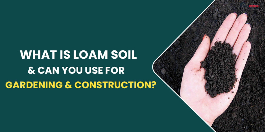 What Is Loam Soil & Can You Use It For Gardening & Construction?