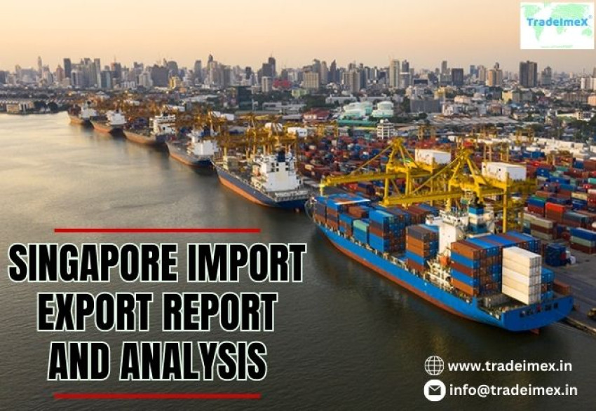 SINGAPORE IMPORT EXPORT REPORT AND ANALYSIS