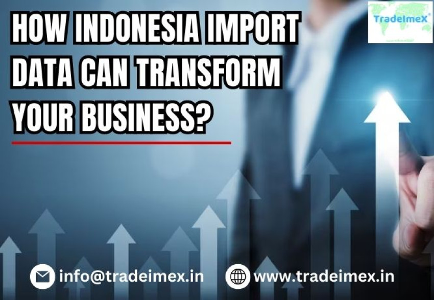 HOW INDONESIA IMPORT DATA CAN TRANSFORM YOUR BUSINESS?